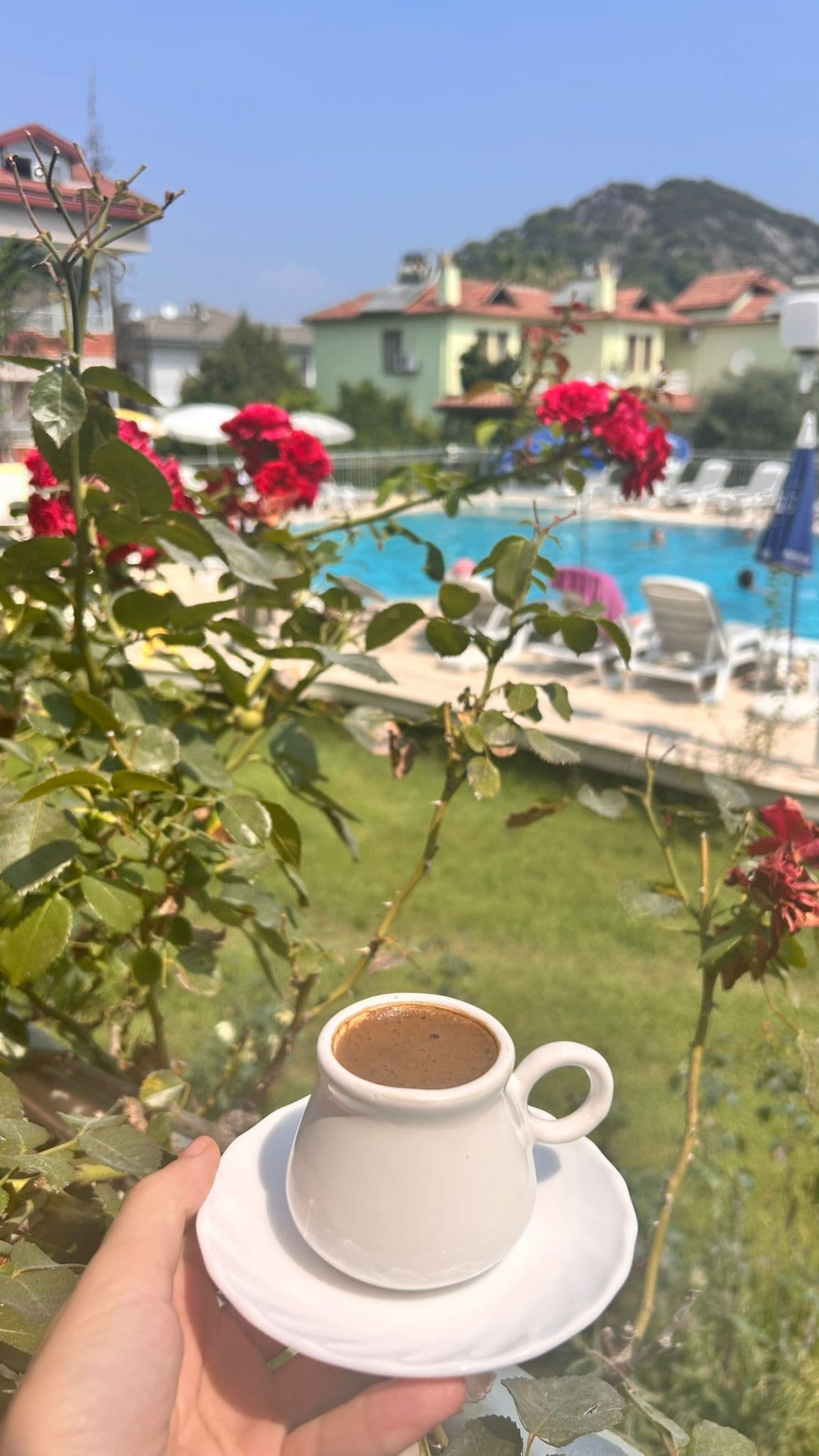 Dalyan Palmiye Resort galeri