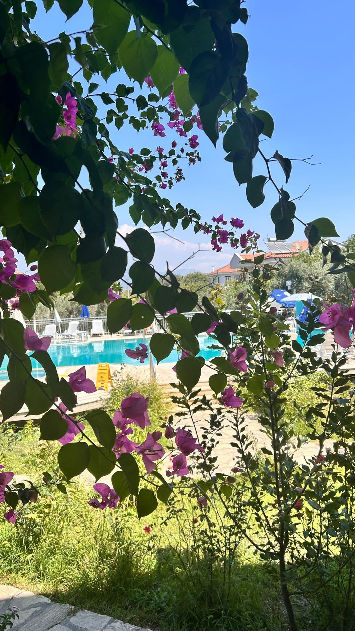 Dalyan Palmiye Resort galeri